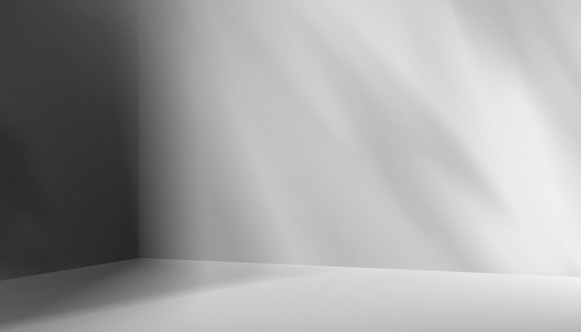 Grey Background,Studio Wall Room and Podium with Light, shadow leaves