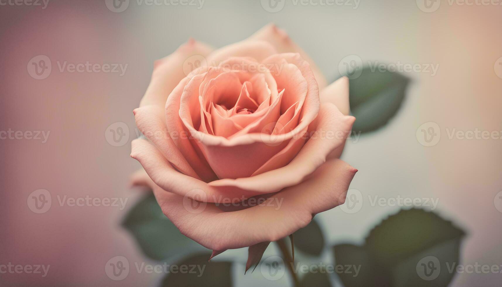 AI generated a single pink rose is shown in front of a blurred background photo