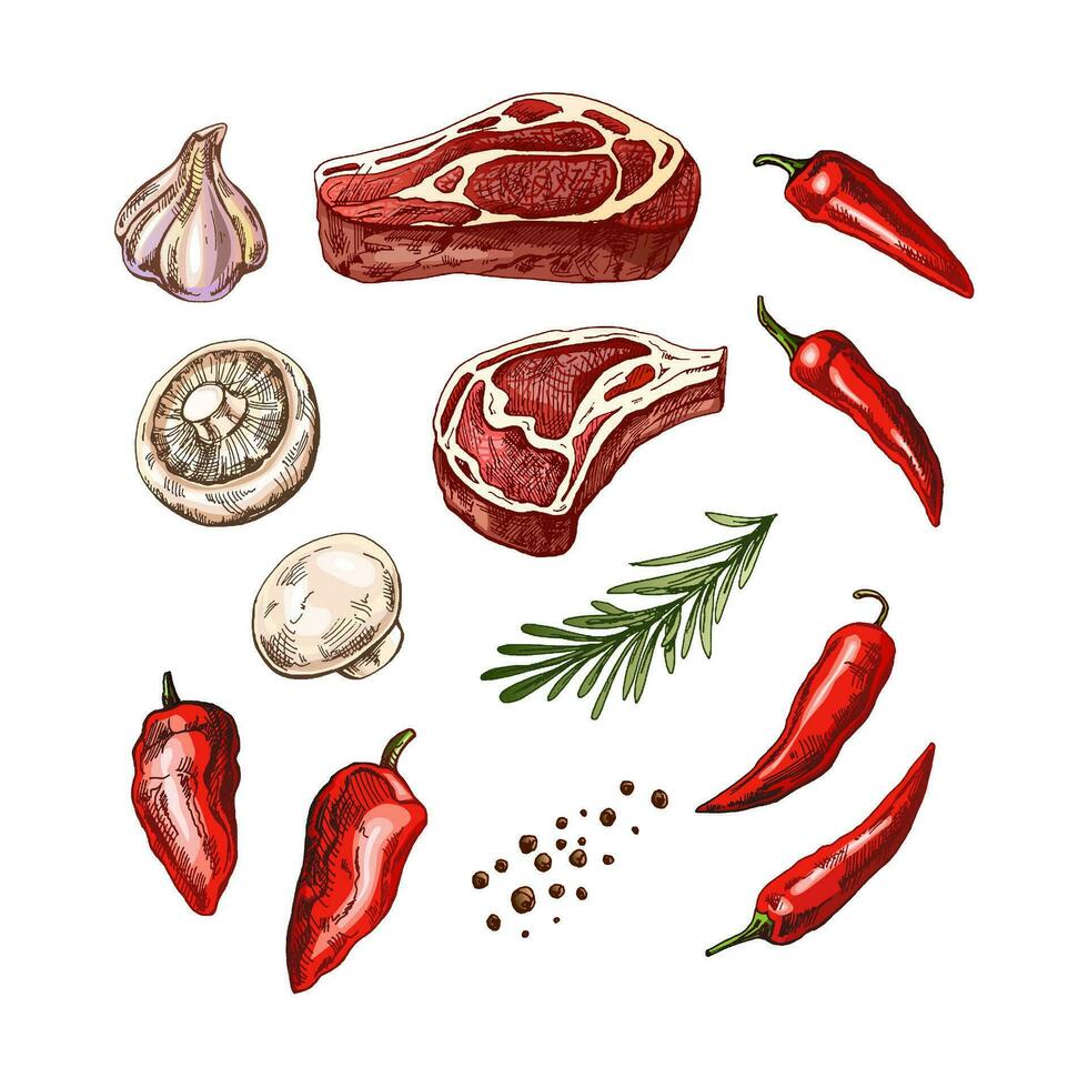 A set of hand-drawn colored sketches of barbecue elements. For design of the menu of restaurants and cafes, grilled food. Pieces of meat and vegetables with seasonings. vector