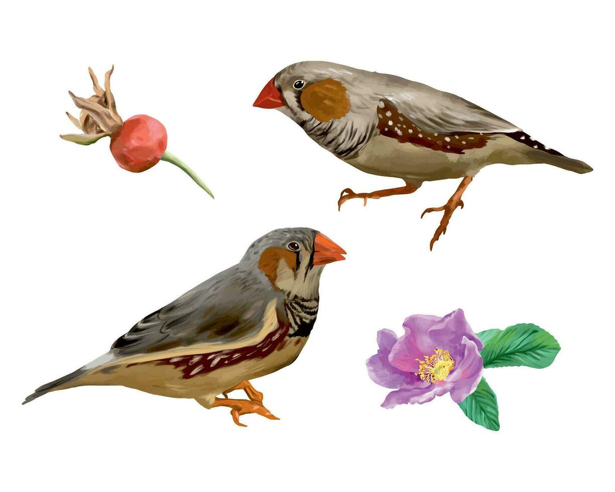 Birds and flowers. Graphic illustration. Design element for cards, invitations, spring banners, packaging, labels, flyers, covers. Bird Day. vector