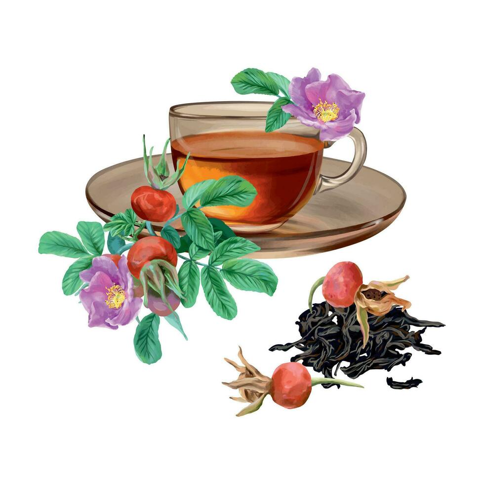Cup of tea, rosehip, dried tea leaves. Vector illustration in graphic style. Design element for cards, invitations, spring banners, packaging, covers, labels, flyers.