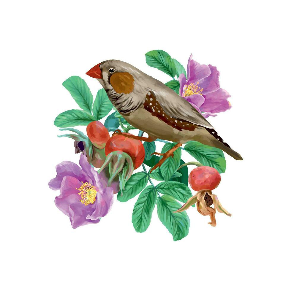 Rosehip and bird. Graphic illustration. Design element for cards, invitations, spring banners, packaging, labels, flyers, covers. vector