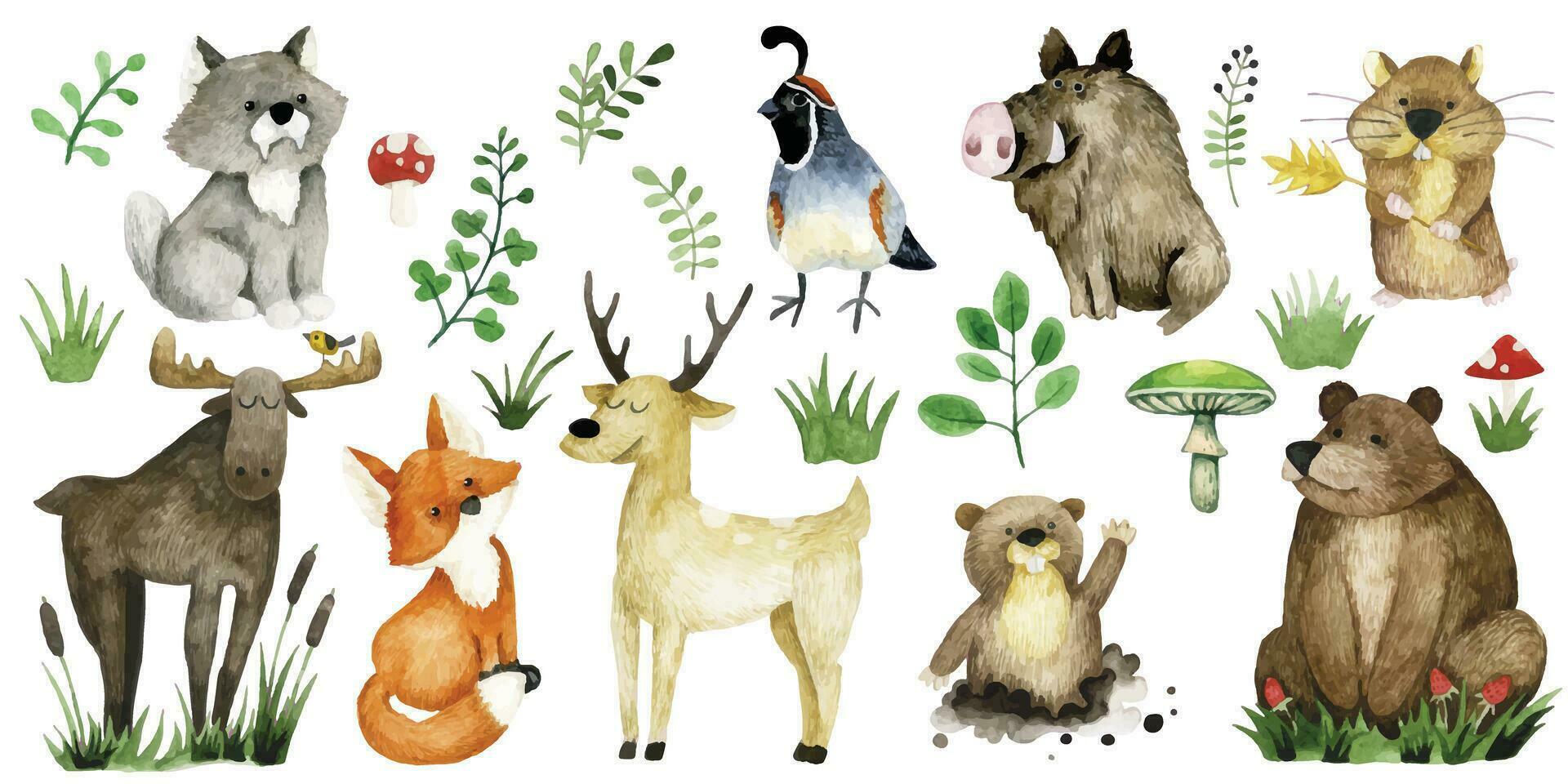 set of cute forest animals, watercolor drawing. bear, elk, deer, wolf and fox vector