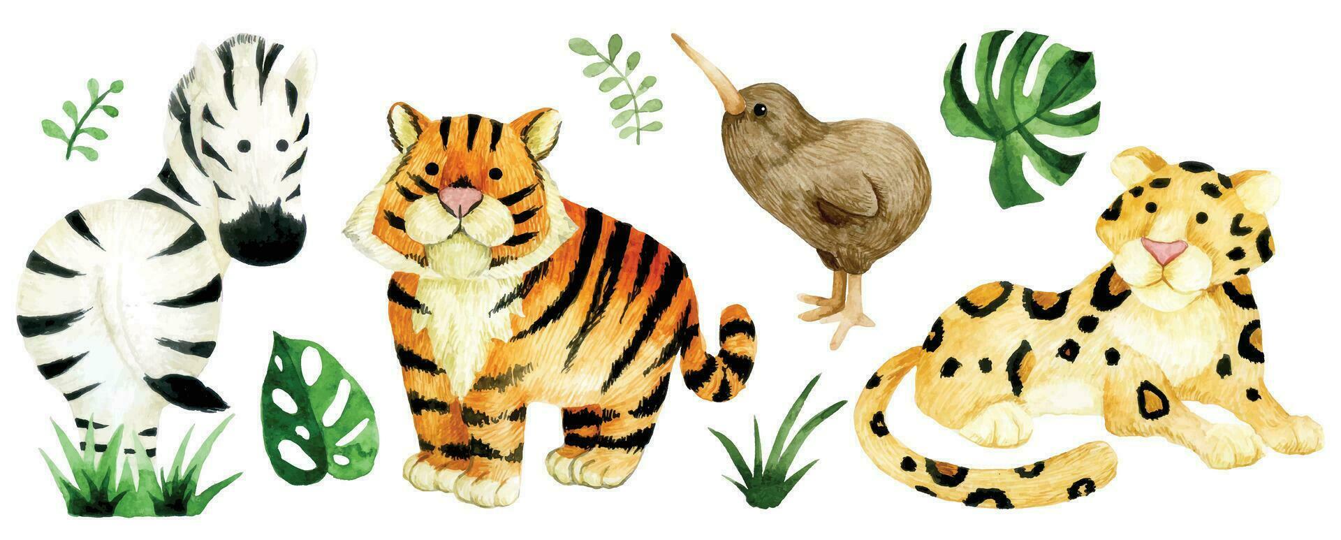 set of cute animals, safari. watercolor drawing tiger, leopard, zebra, kiwi bird vector