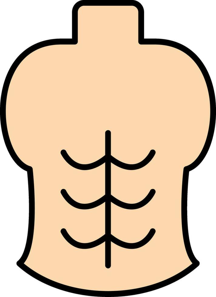 abdominales línea lleno icono vector