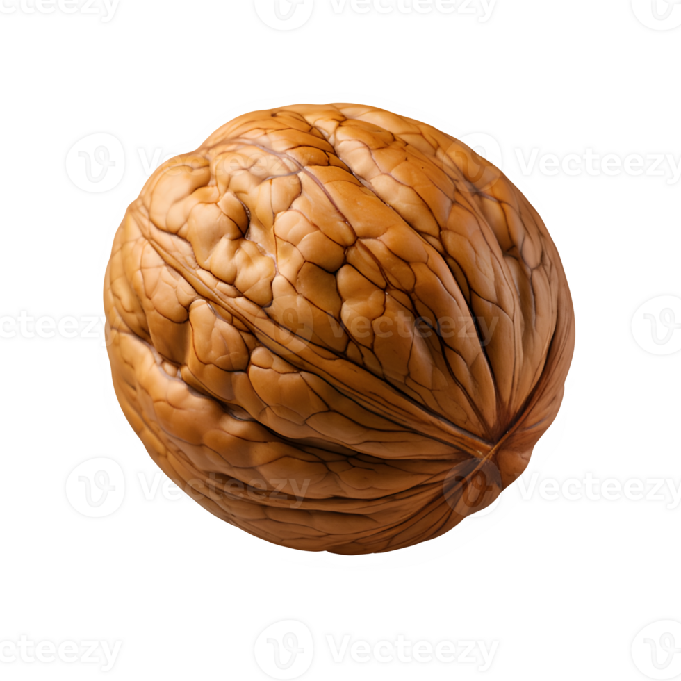 AI generated Walnut isolated on transparent background ,generative ai png