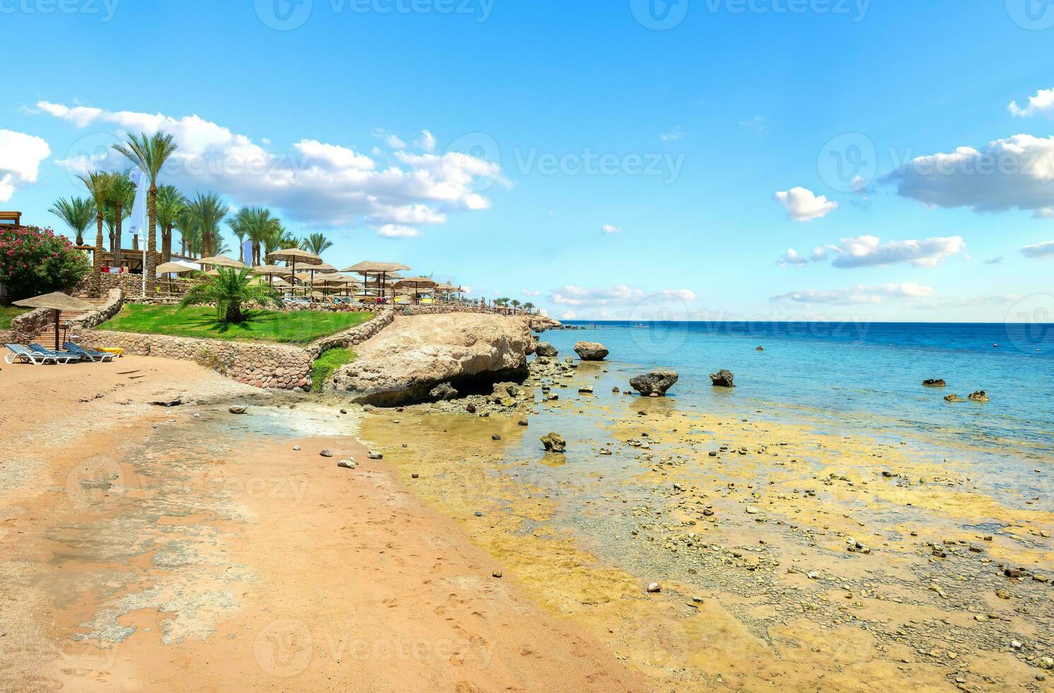 Coral reefs on beach photo