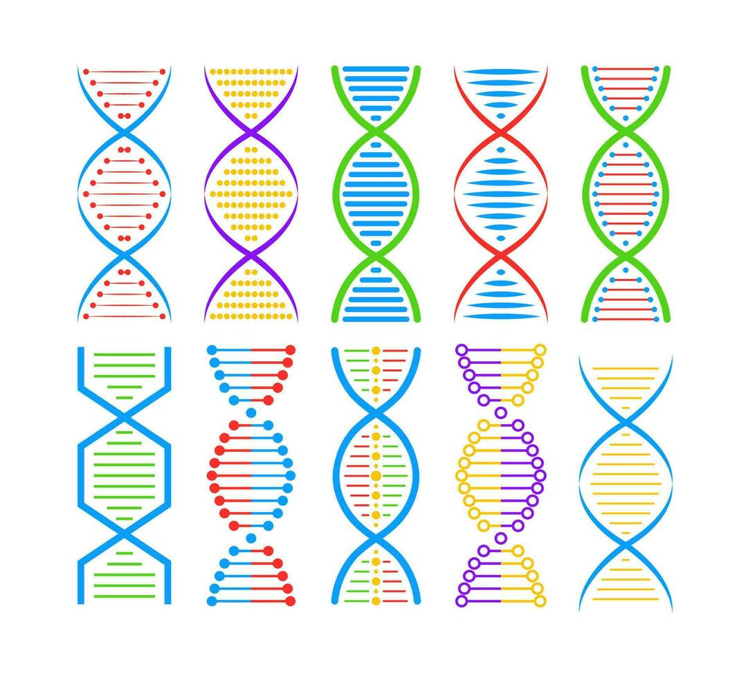 DNA structure Icon set. Structure molecule and cell, chromosome. Genetic engineering. Vector stock illustration