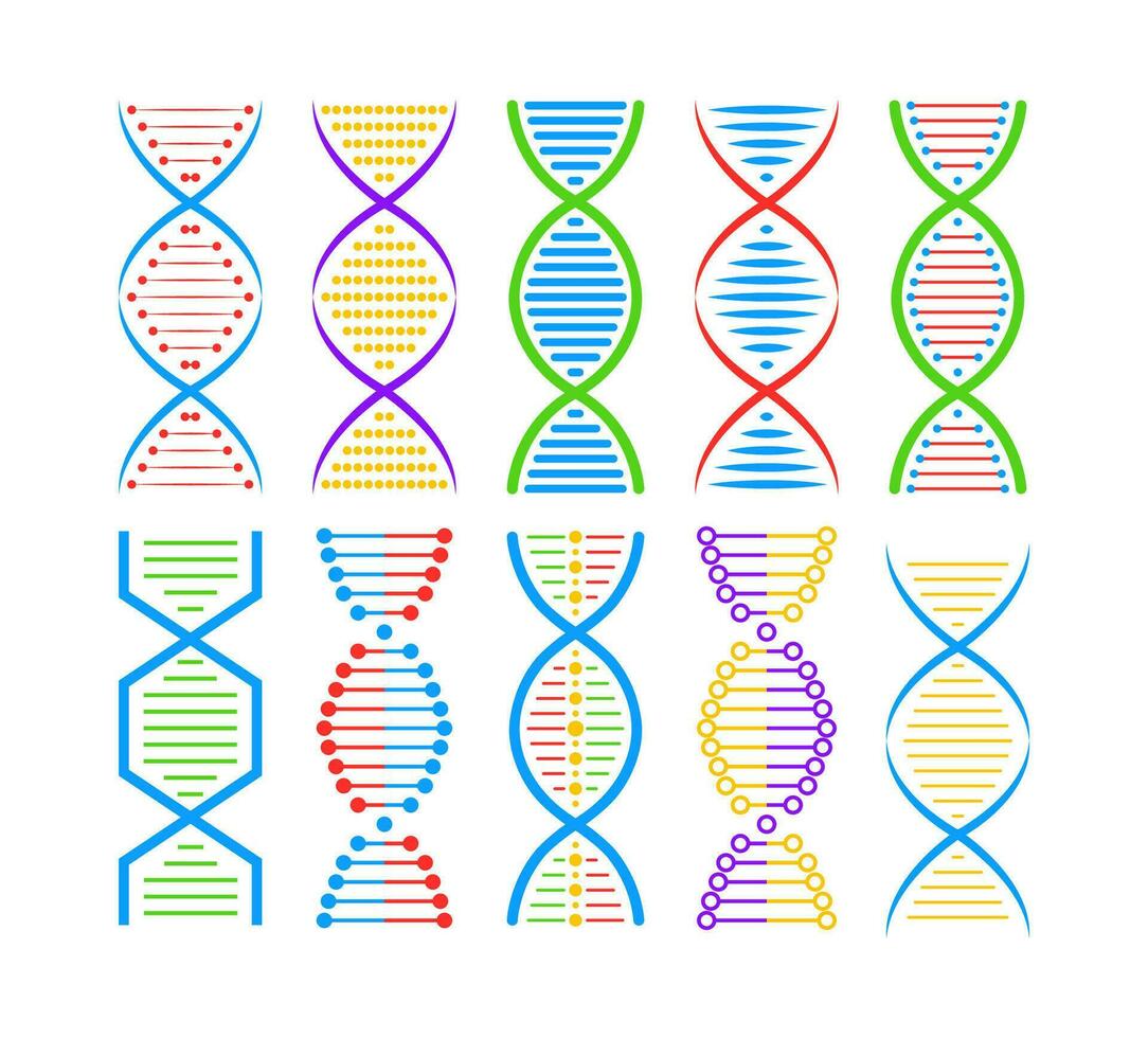 DNA structure Icon set. Structure molecule and cell, chromosome. Genetic engineering. Vector stock illustration