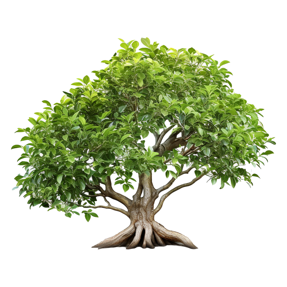 AI generated Green tree isolated on transparent background png