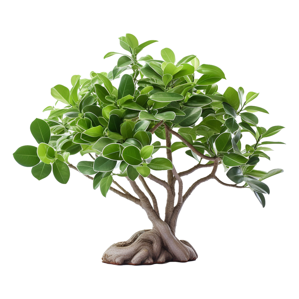 AI generated Green tree isolated on transparent background png