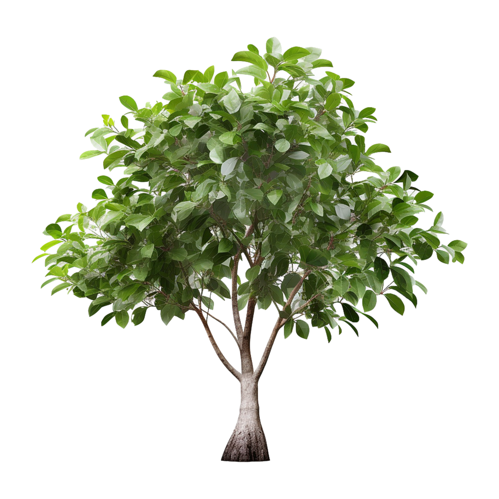 AI generated Green tree isolated on transparent background png
