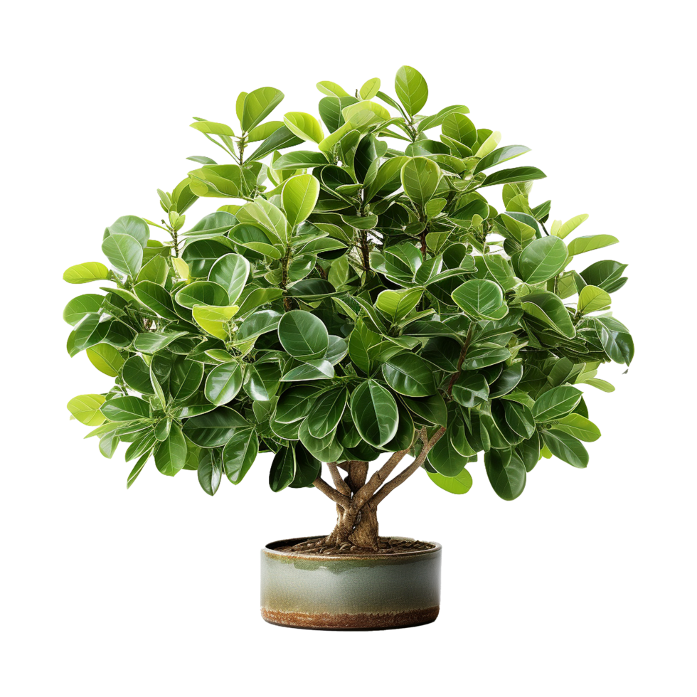 AI generated Green tree isolated on transparent background png