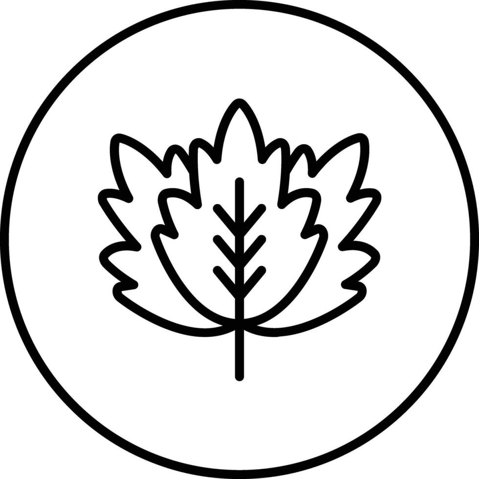 Spearmint Vector Icon