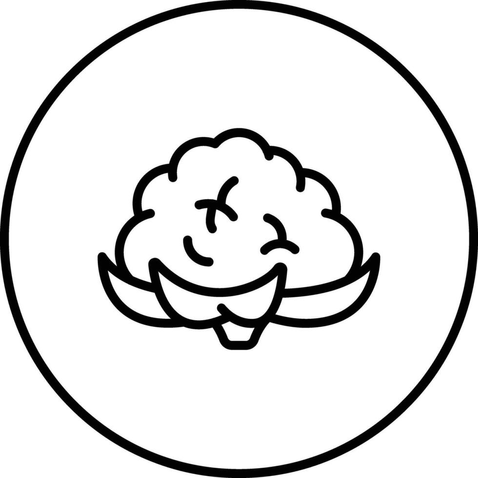 Cauliflower Vector Icon