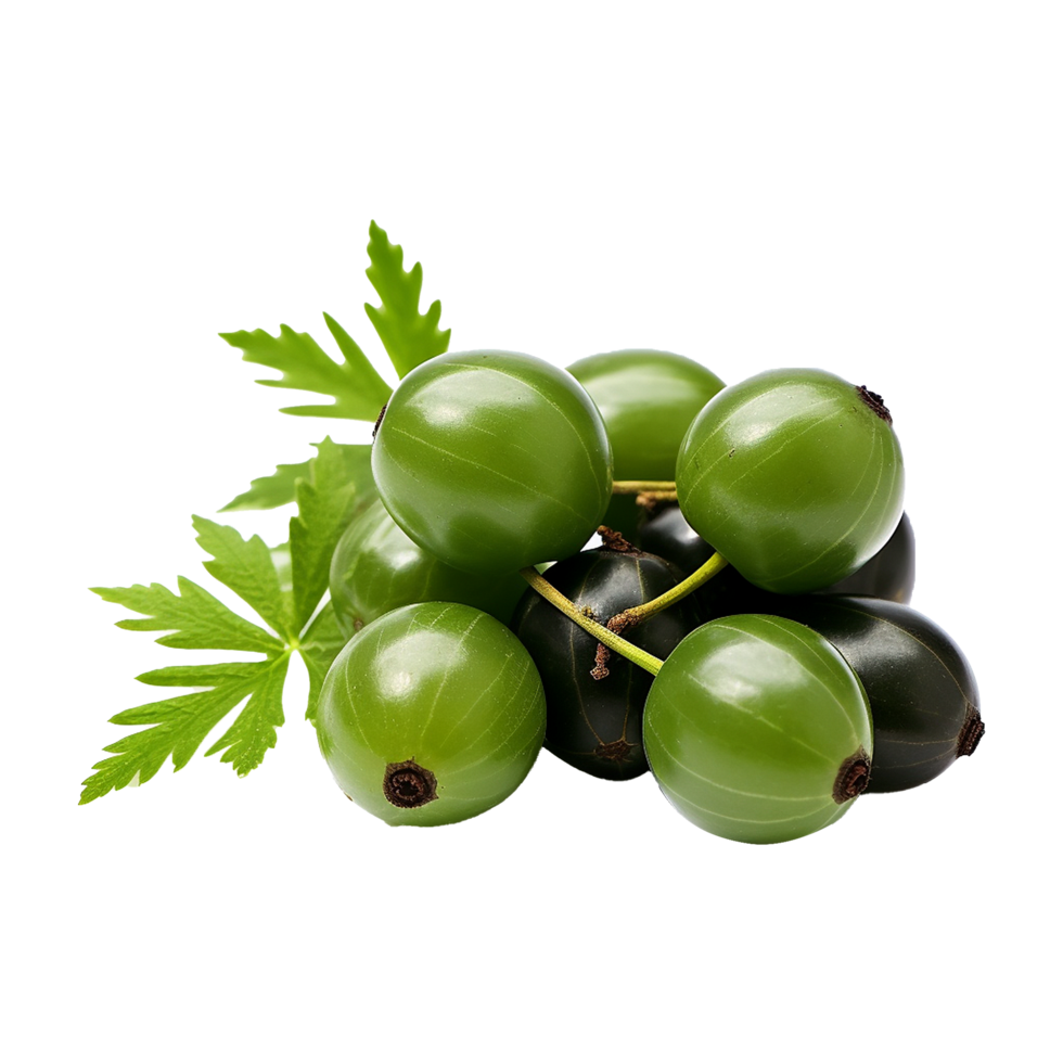 AI generated Neem fruit isolated on transparent background png