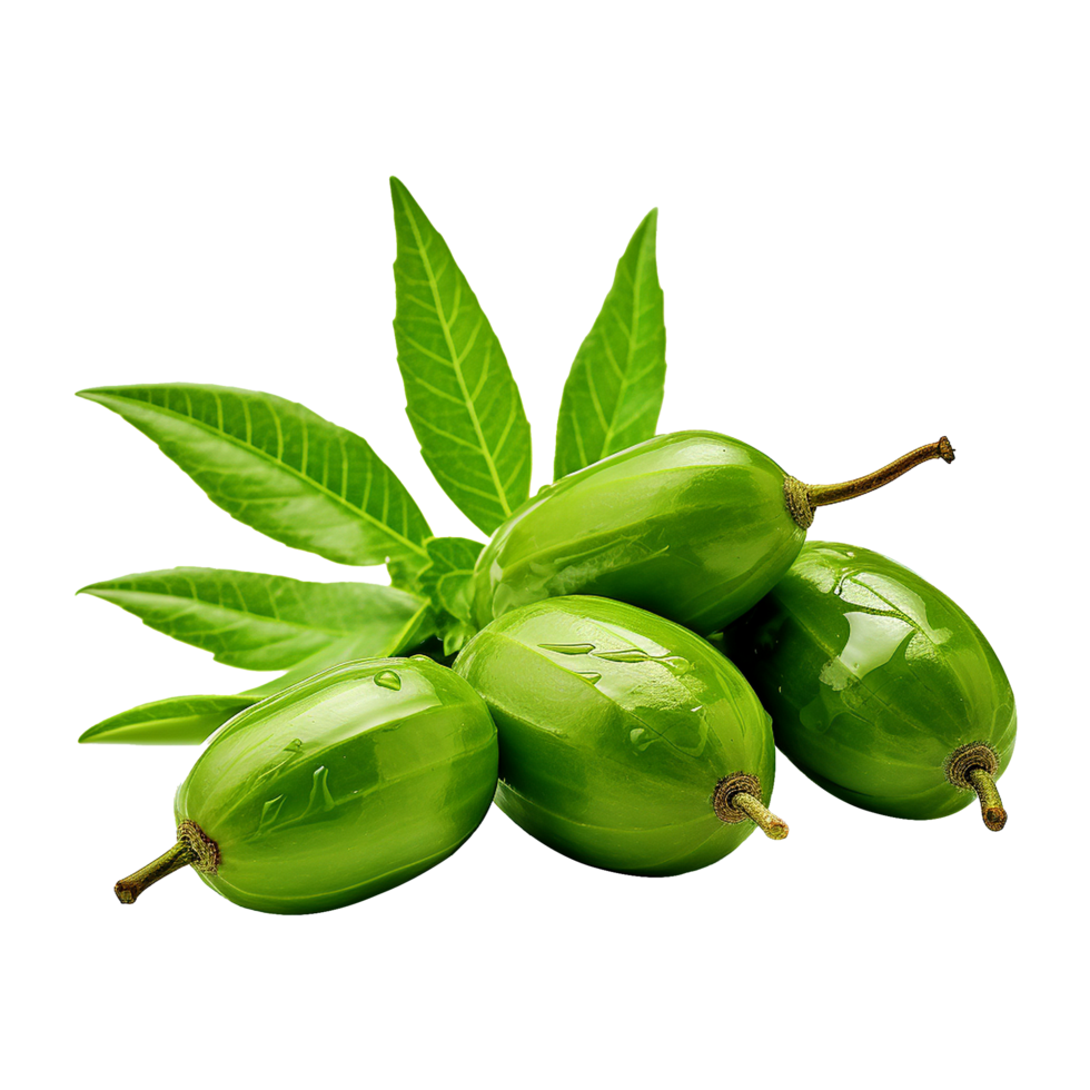 AI generated Neem fruit isolated on transparent background png