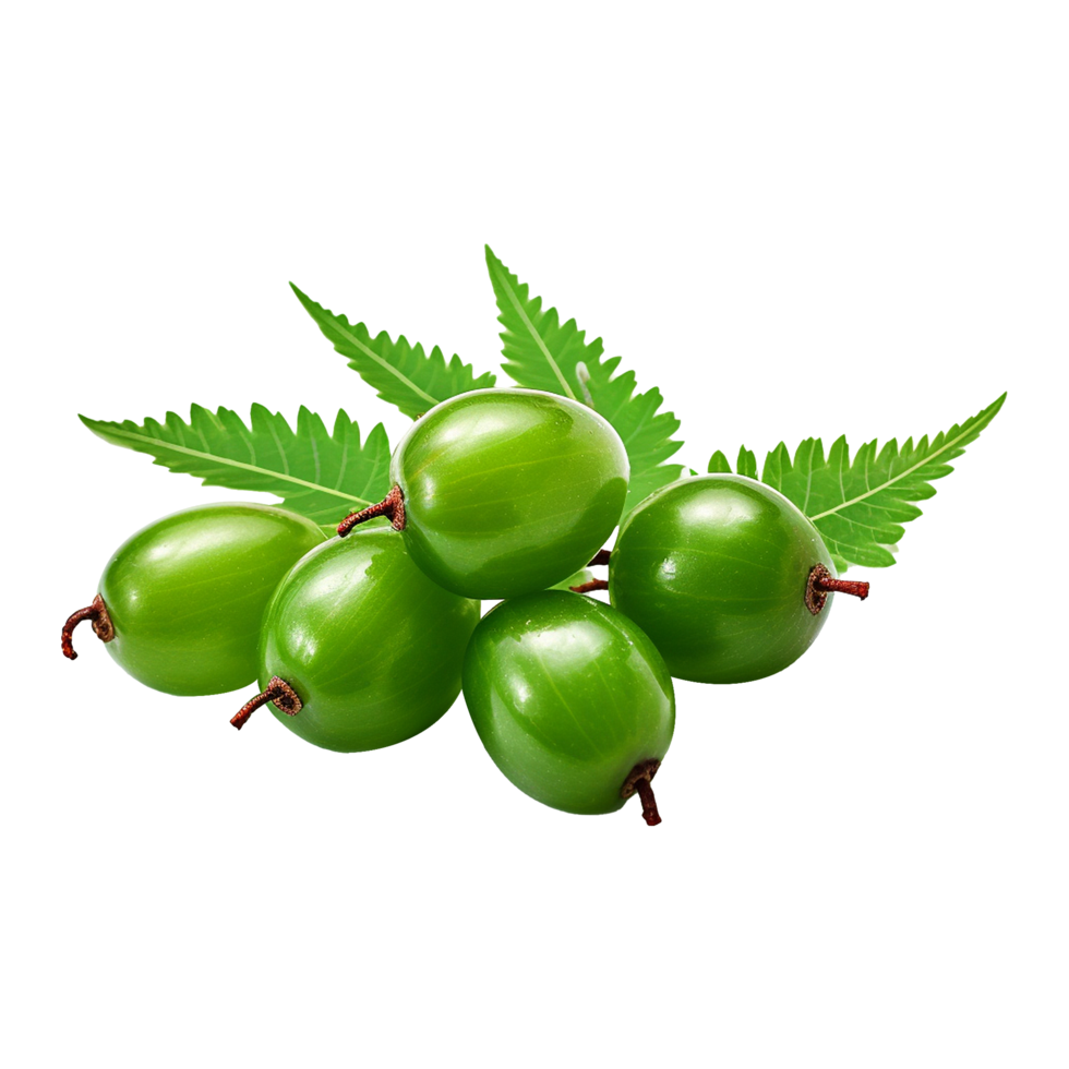 AI generated Neem fruit isolated on transparent background png