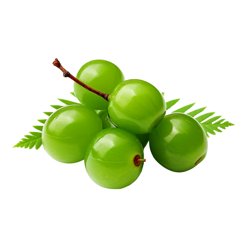 AI generated Neem fruit isolated on transparent background png