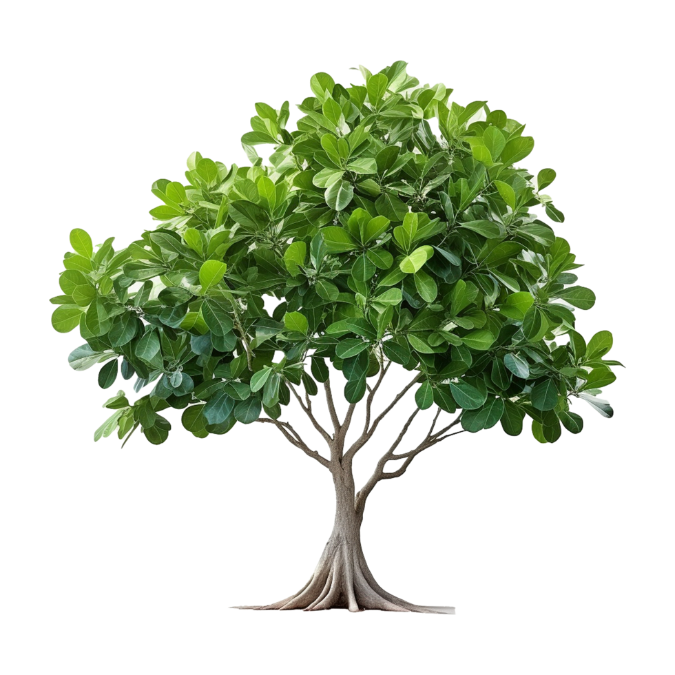 AI generated Green tree isolated on transparent background png