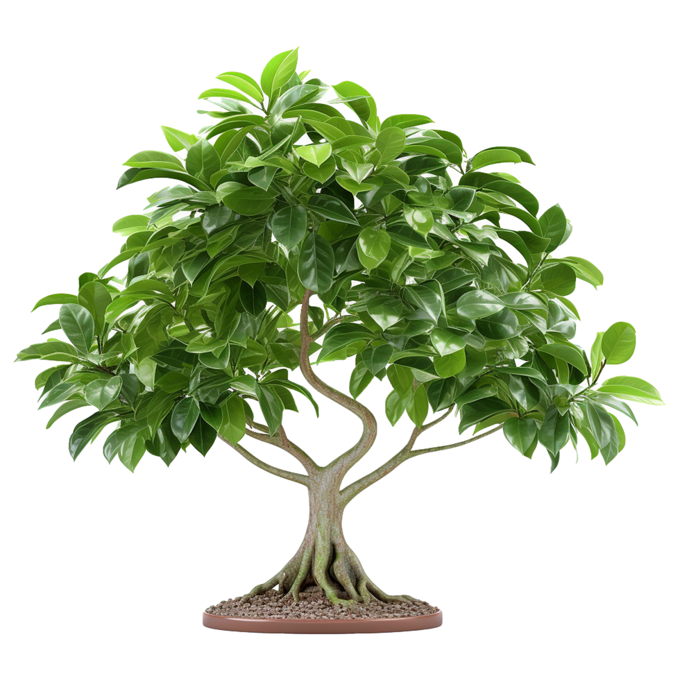 AI generated Green tree isolated on transparent background png