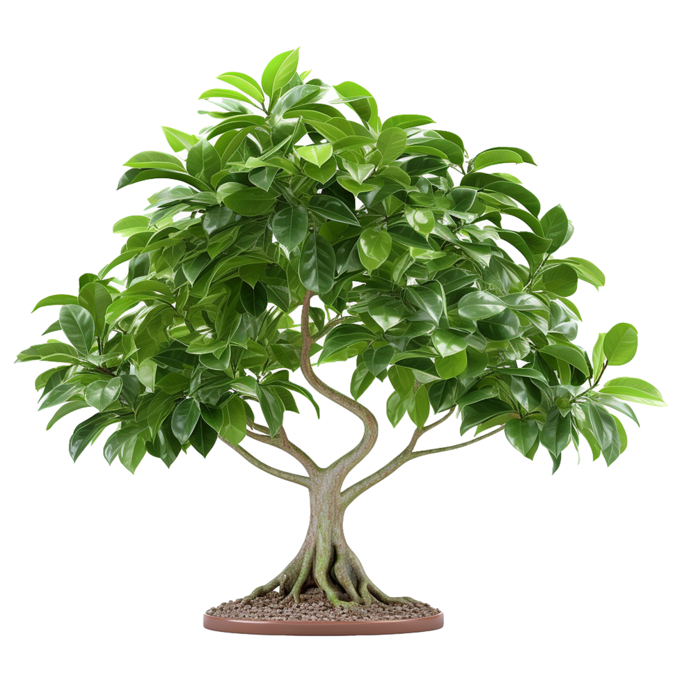 AI generated Green tree isolated on transparent background png