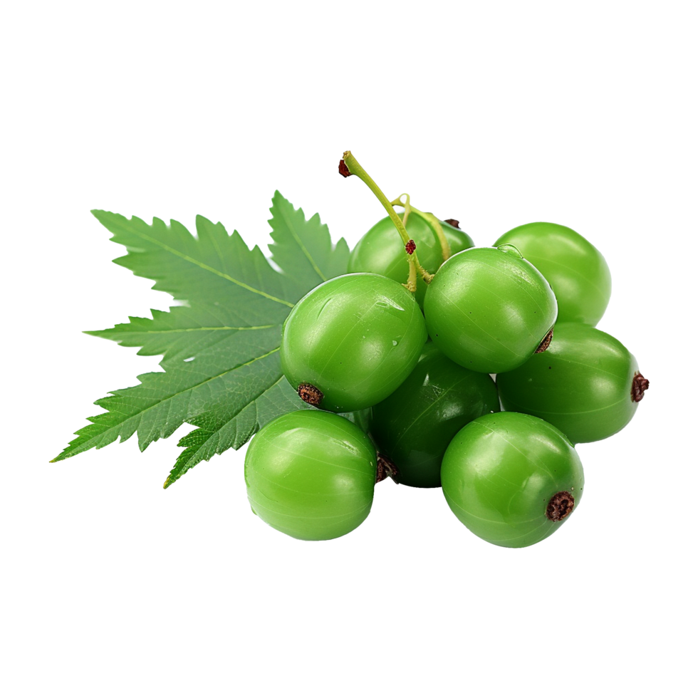 AI generated Neem fruit isolated on transparent background png