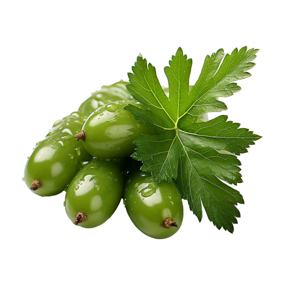 AI generated Neem fruit isolated on transparent background png