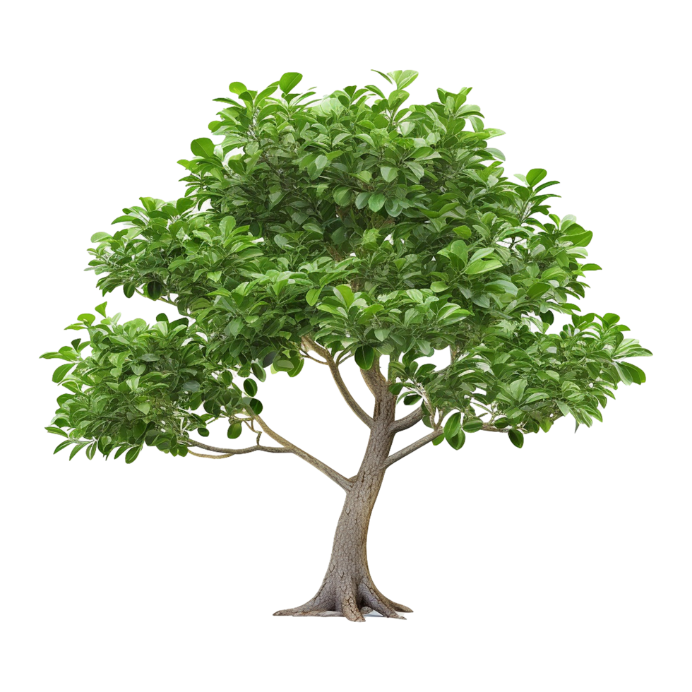 AI generated Green tree isolated on transparent background png