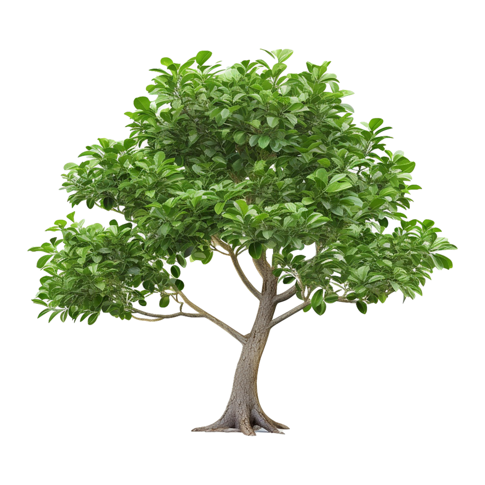 ai généré vert arbre isolé sur transparent Contexte png