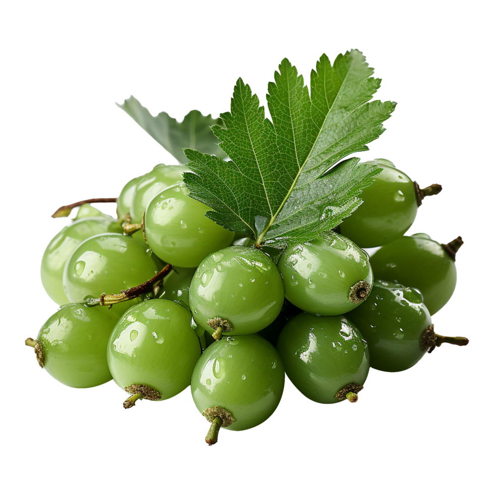 AI generated Neem fruit isolated on transparent background png