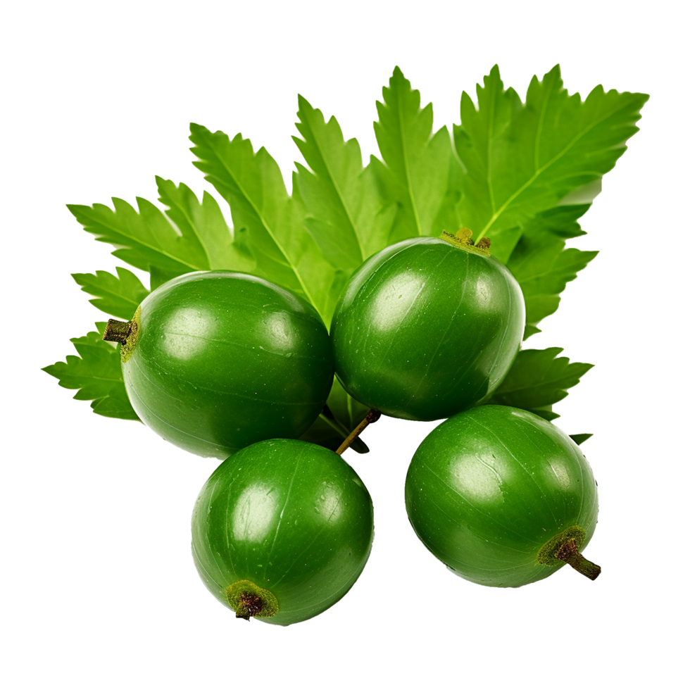 AI generated Neem fruit isolated on transparent background png