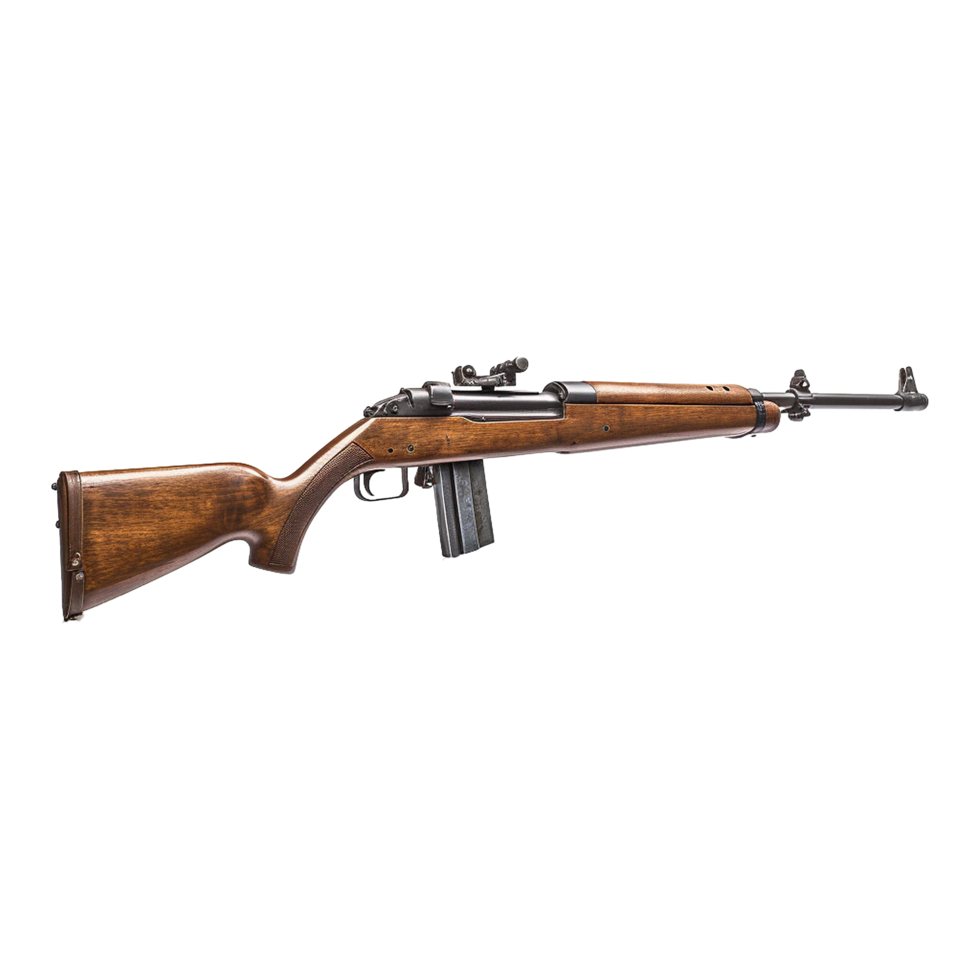 AI generated M1 garand isolated on transparent background png