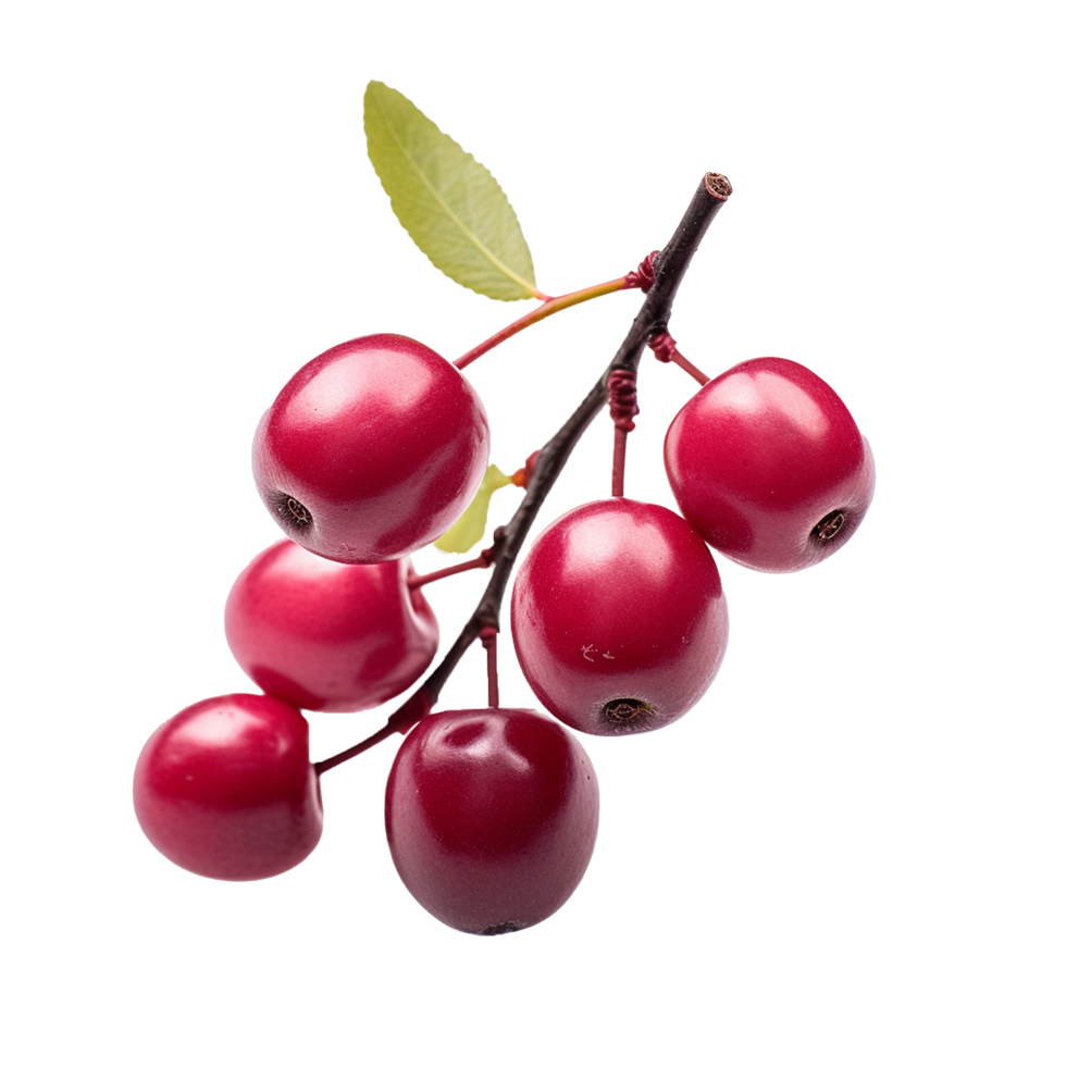 AI generated Serviceberry fruit png isolated on transparent background