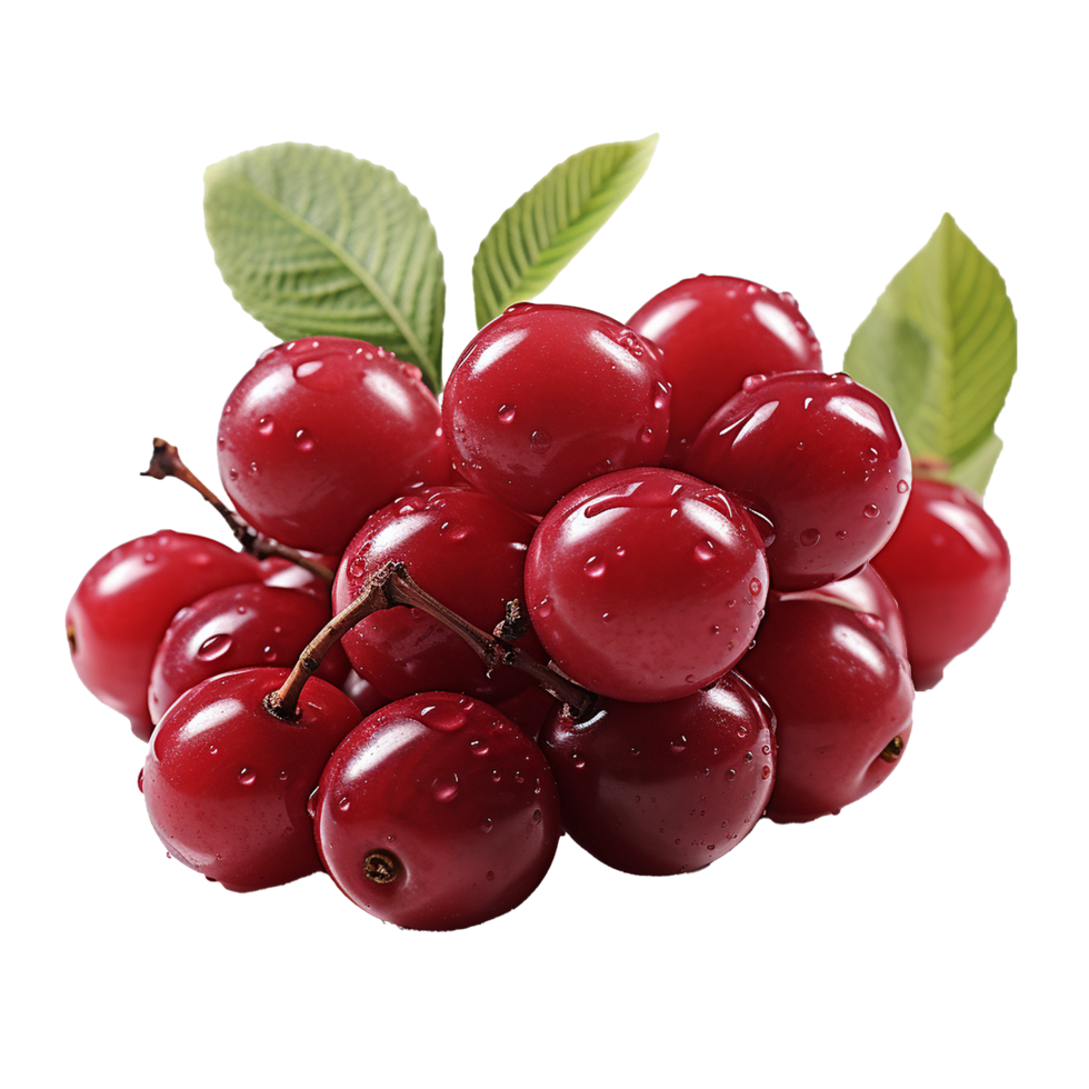 AI generated Serviceberry fruit png isolated on transparent background