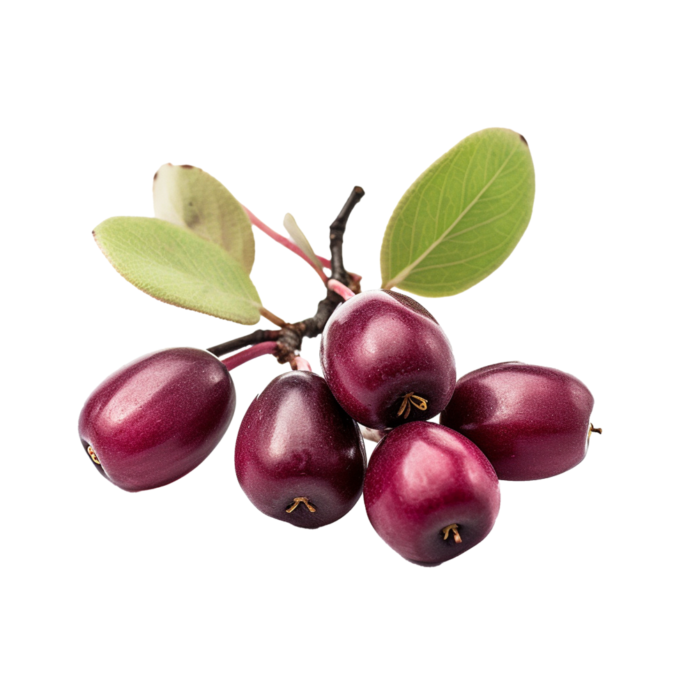 AI generated Serviceberry fruit png isolated on transparent background