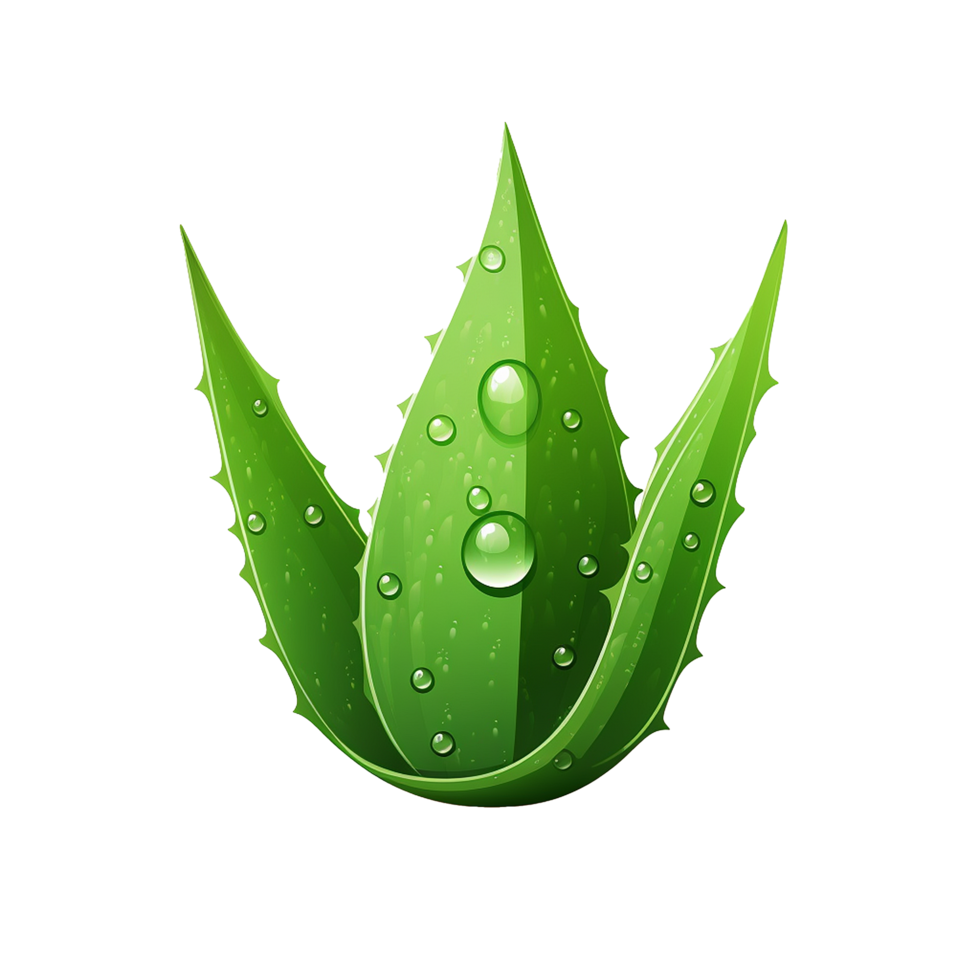 AI generated Aloe vera png isolated on transparent background