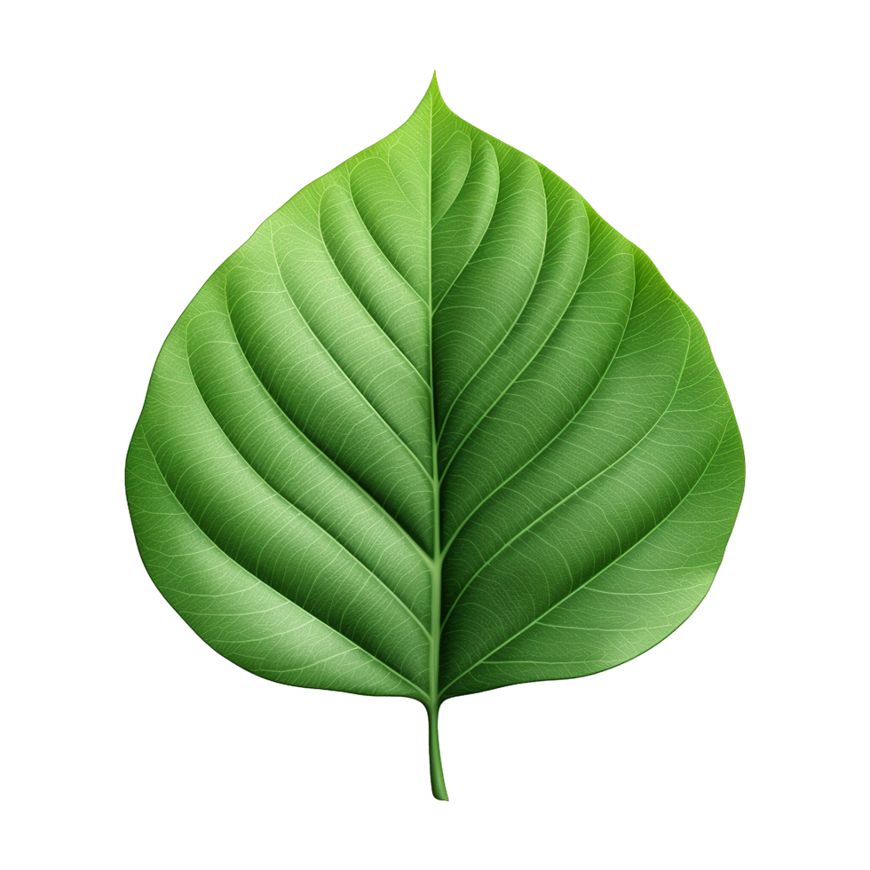 AI generated 3d green leaf isolated on transparent background png