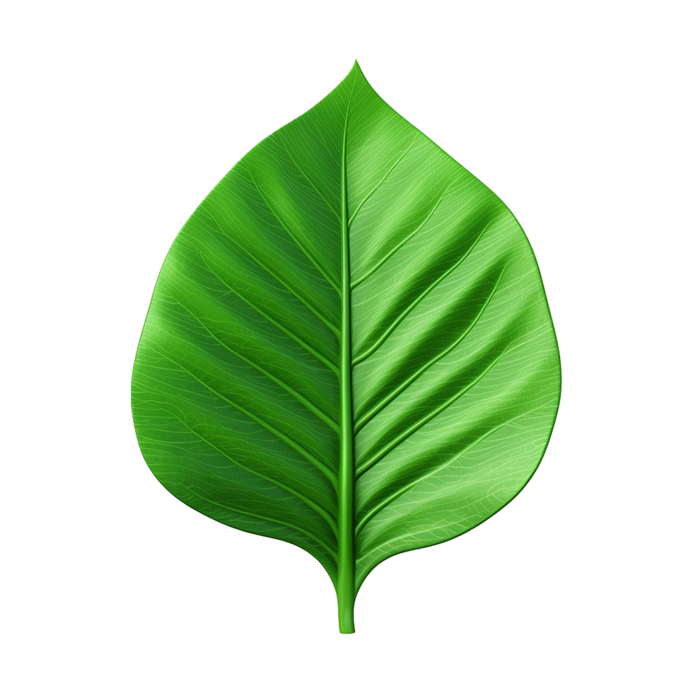 AI generated 3d green leaf isolated on transparent background png