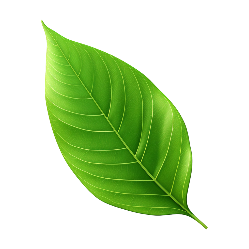 AI generated 3d green leaf isolated on transparent background png