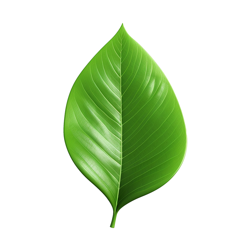 AI generated 3d green leaf isolated on transparent background png