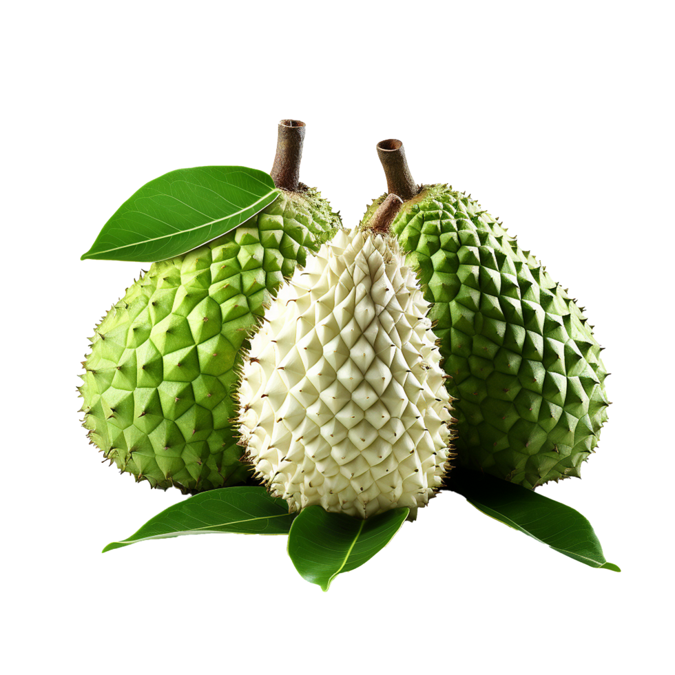 AI generated Soursop fruit png isolated on transparent background