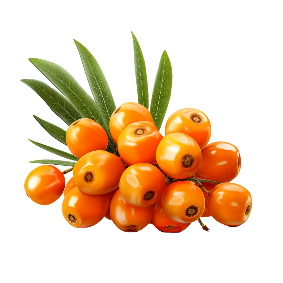 AI generated Sea buckthorn fruit png isolated on transparent background