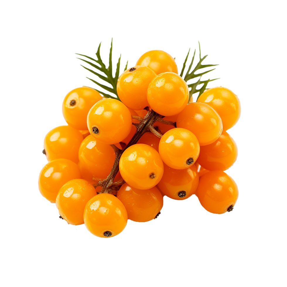 AI generated Sea buckthorn fruit png isolated on transparent background