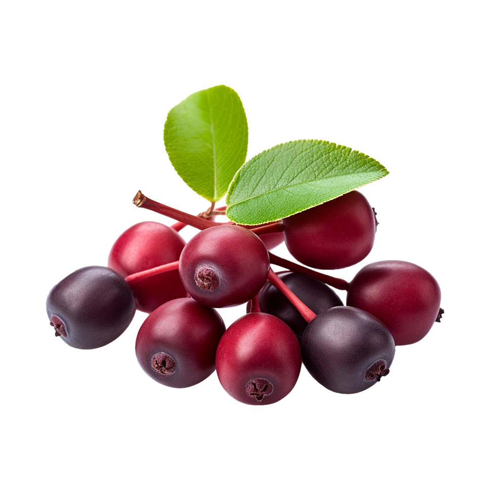AI generated Serviceberry fruit png isolated on transparent background
