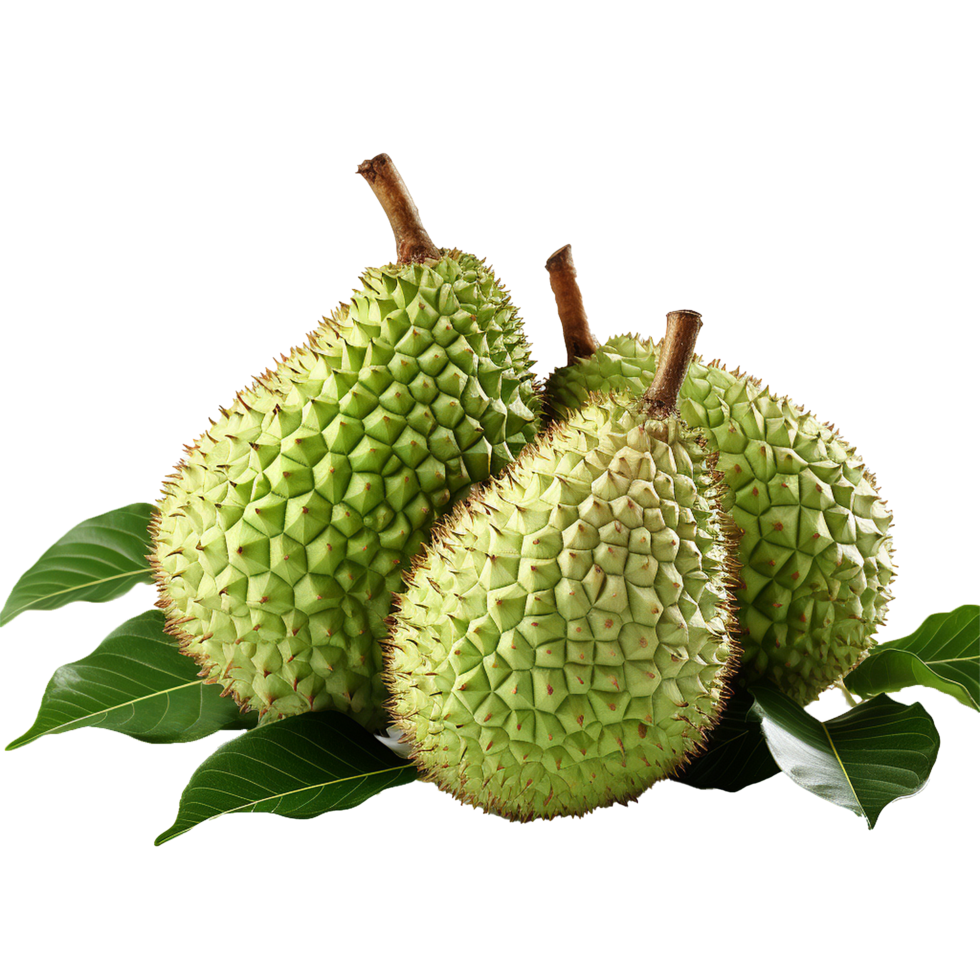 AI generated Soursop fruit png isolated on transparent background