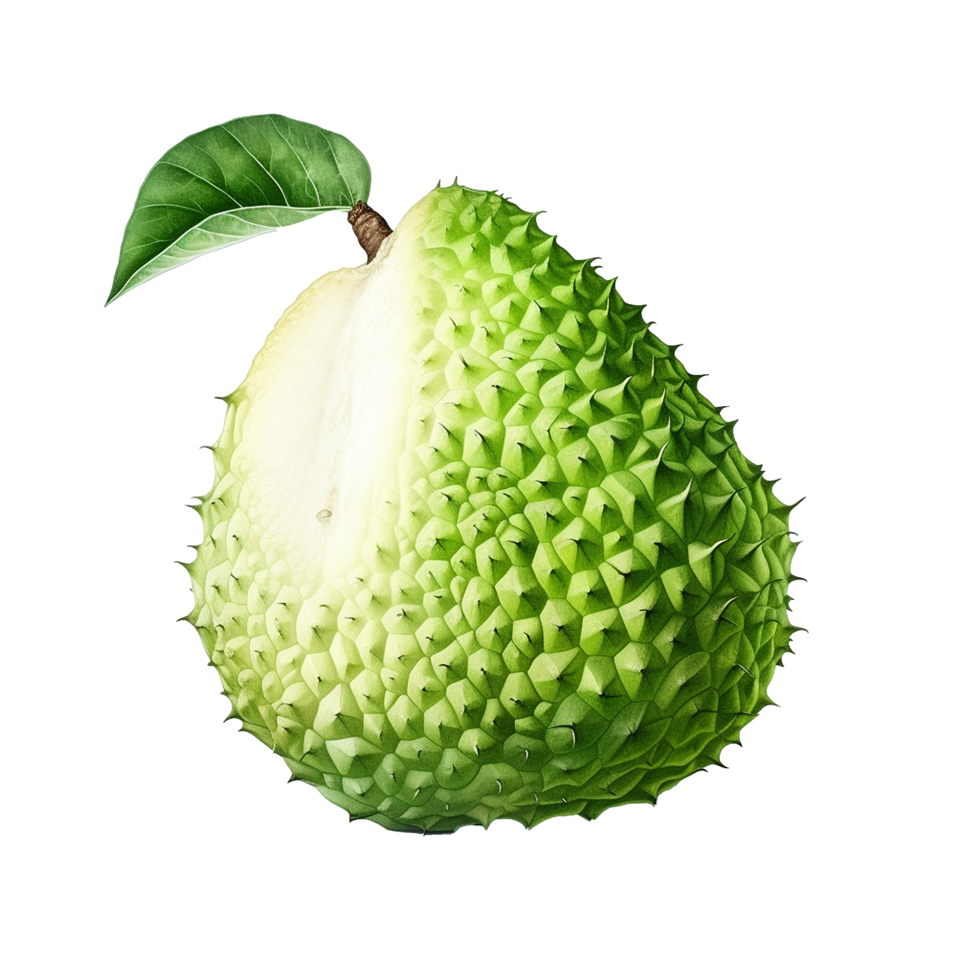 AI generated Soursop fruit png isolated on transparent background