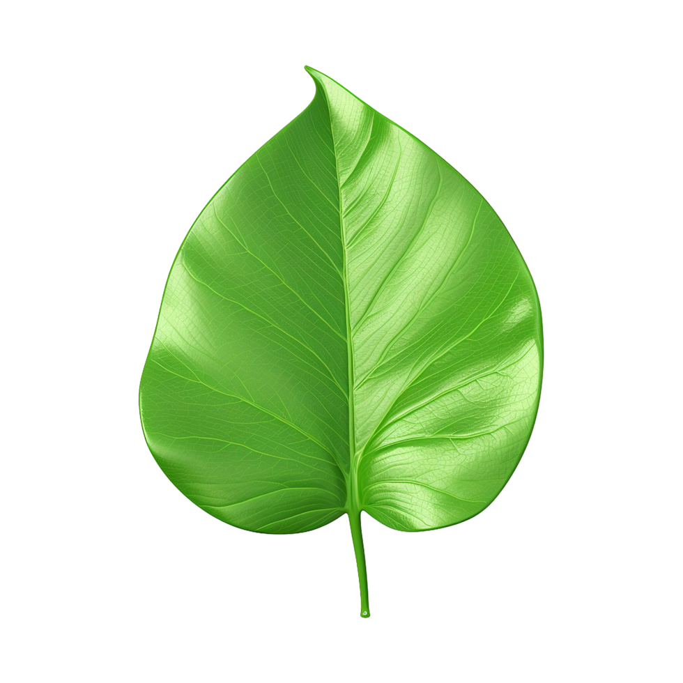 AI generated 3d green leaf isolated on transparent background png