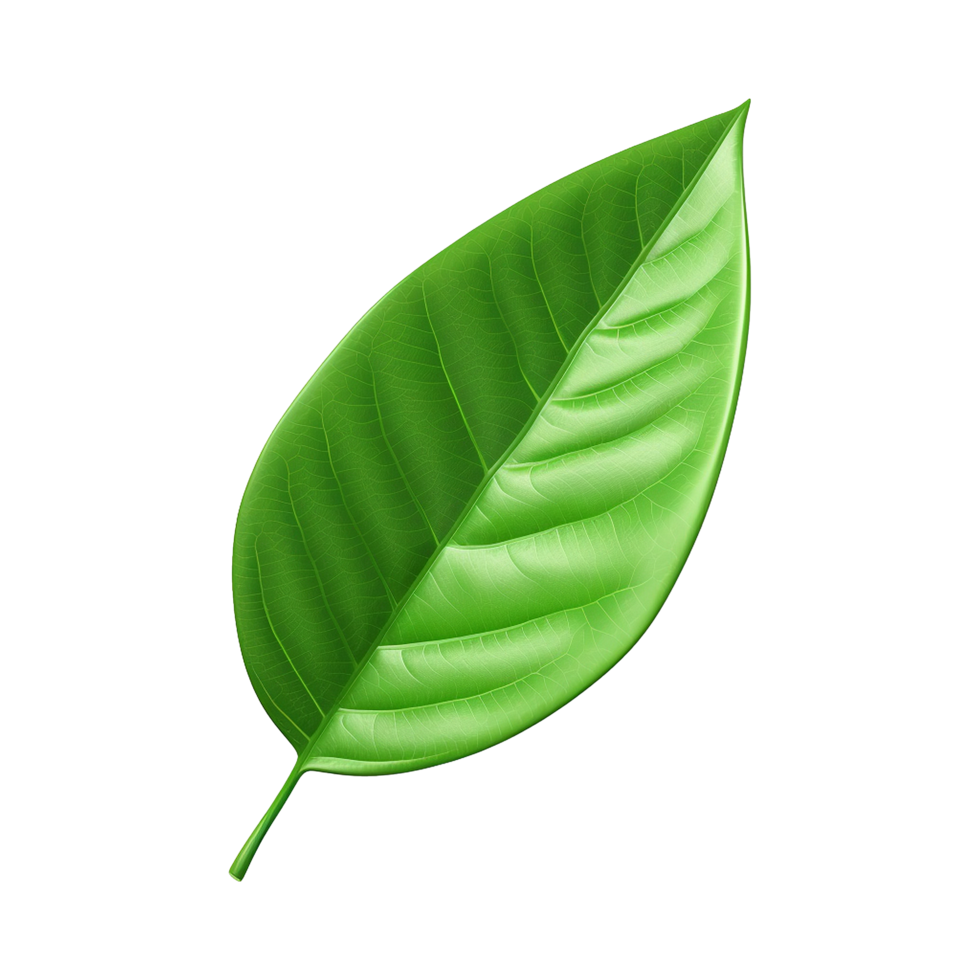 AI generated 3d green leaf isolated on transparent background png