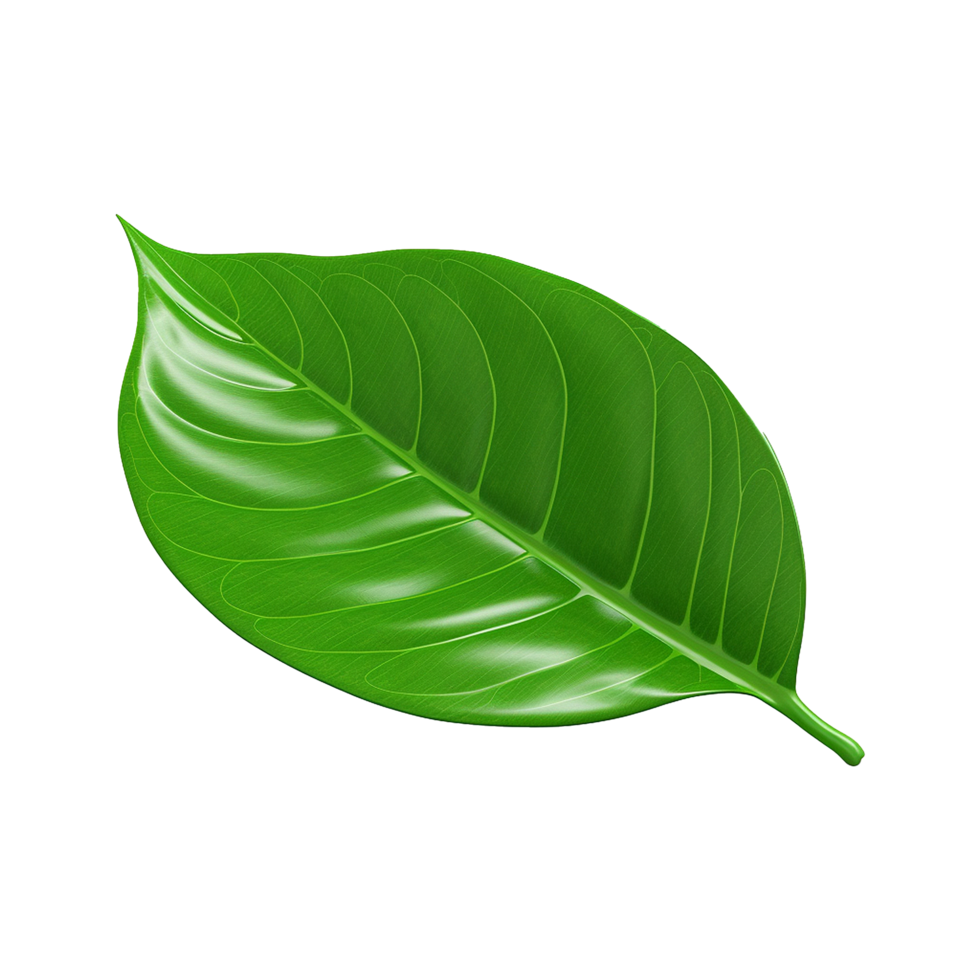 AI generated 3d green leaf isolated on transparent background png